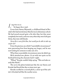 Sách The Travelling Cat Chronicles