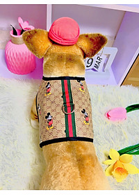 product-img-4