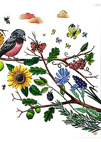 Sách Những Gam Màu Rực Rỡ Của Thiên Nhiên