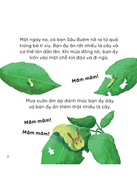 product-img-11