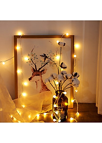 Dây Đèn LED Trang Trí Bóng Tròn 10M, 20M Trang Trí Nhà Cửa, Noel, Lễ Tết