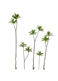 product-img-7