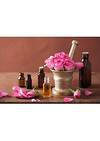 product-img-12