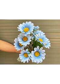 product-img-11