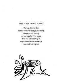 How To Live: The Essential Mindfulness Journal