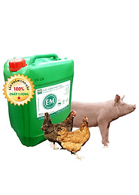 Chế phẩm sinh học EM gốc (EM1). Men vi sinh Đại Học Nông Nghiệp 1 Hà Nội. Chứa hàng tỷ bào tử hữu hiệu. Từ 1 lít EM gốc sản xuất ra 40 lít EM thứ cấp. Can 10 lít. HSD: 2 năm