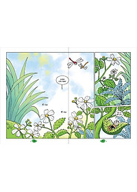 product-img-4