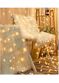 Đèn Led Trang Trí Bông Tuyết Dài 10M - 100 Bóng Trang Trí Noel Lễ Tết