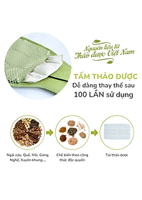 Nơi bán Bộ đai chườm nóng thảo dược giảm đau lưng bụng dùng điện - Hapaku