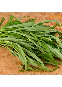 HẠT GIỐNG RAU MUỐNG LÁ TRE RADO 12