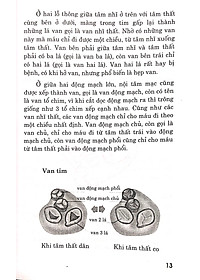 product-img-10