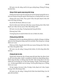 product-img-10