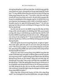 product-img-12