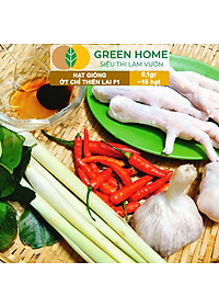 Hạt Giống Ớt Chỉ Thiên Greenhome, Gói 1gr, Sai Trái, Siêu Cay, Dễ Trồng Quanh Năm, Nảy Mầm Cao, Thu Hoạch Nhanh G10
