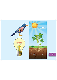 Tiếng Anh 5 i-Learn Smart Start - Flashcards