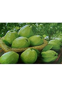 product-img-3