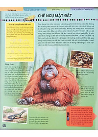 Sách Di Chuyển Và Di Cư