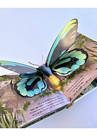 product-img-4