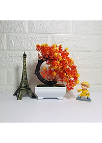 product-img-5