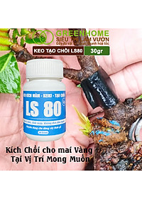 Keo Tạo Chồi LS80, Greenhome, Hũ 30gr, Tạo Mầm Tại Vị Trí Bất Kỳ, Có Chọn Lọc, Không Suy Cây, Đen Chồi