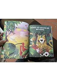 (Sách tranh minh hoạ màu) THÁM HIỂM AMAZON – Sangma Francis - Như Yến dịch – Nhà xuất bản Kim Đồng (sách mới 2022) (bìa mềm)