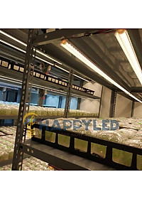 Đèn LED Trồng Cây, Đèn Quang Hợp Trồng Rau, Hoa và Cây Cảnh Trong Nhà, Đảm Bảo - Hàng chính hãng