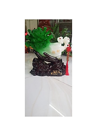 product-img-4