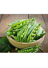 Hạt Giống Đậu Hà Lan Rado 681