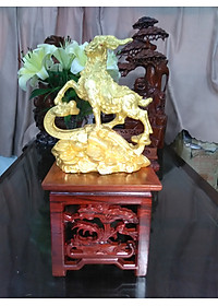 product-img-6