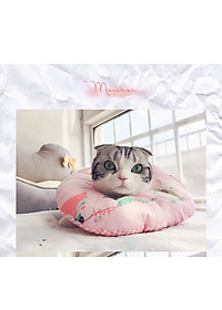 product-img-24