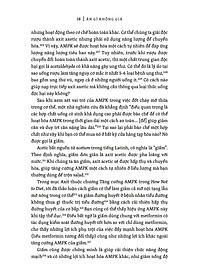 product-img-13