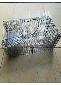 product-img-4