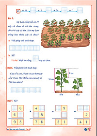 Combo Bài Tập Tuần Toán, Tiếng Việt Lớp 1 - Kết Nối Tri Thức (Tự Chọn Sách)
