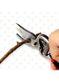 [Nhanh Gọn] Kéo Cắt Tỉa Cành Cây Lưỡi Cong KhoNCC Hàng Chính Hãng - Giúp Việc Cắt Hiệu Quả Hơn - KLVQ-KCTCC