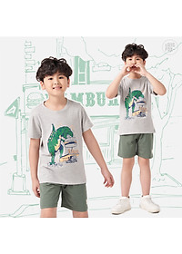 Áo thun bé trai BIGFOX - MISS MEOW size đại, áo cho bé chất cotton phong cách Âu Mỹ in Khủng Long 11 - 40 kg QATE 01