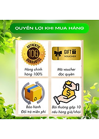 Đông Trùng Hạ Thảo Tây Tạng Teresa Herbs: Bổ Thận, Bổ Phổi, Bổ Tim, Tăng Cường Đề Kháng 60 viên