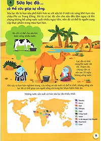 Sách 100 Bí Ẩn Đáng Kinh Ngạc Về Thức Ăn (USBORNE - 100 Things To Know About Food)