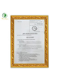 Gel gừng thảo dược, massage tan mỡ bụng, săn chắc eo Wonmom 70g