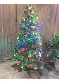 Cây thông noel màu xanh cao 180cm - Tán dày và đẹp, cây thông chắc chắn và dể tháo lắp