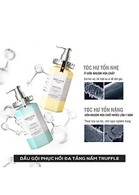 Combo Gội xả phục hồi đa tầng Nấm Truffle Weilaiya và Bộ dầu xả Gừng Hà Thủ Ô Weilaiya - Ngăn rụng tóc, sạch dầu, sạch gàu, giúp tóc mềm mượt