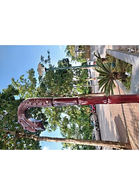 Gậy batoong gỗ trạm đầu rồng cho người già