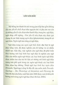 Các Mô Hình Ngữ Điệu Tiếng Việt Theo Mục Đích Giao Tiếp (Sách chuyên khảo)