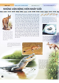 Sách Di Chuyển Và Di Cư