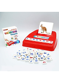 Phát Triển Trí Tuệ Giai Đoạn Vàng Cùng Thẻ Đồ Chơi DK81090