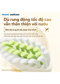product-img-14