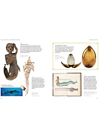 Sách Fantastic Beasts: The Wonder of Nature (Amazing Animals and the Magical Creatures of Harry Potter and Fantastic Beasts) (Paperback)