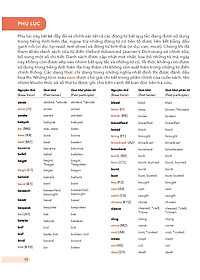 product-img-11