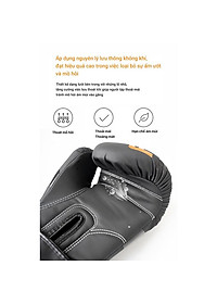 Găng Tay Boxing Chính Hãng FED