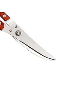 Kéo Cắt Gà K16 Nhập Khẩu TOKDODO Phân Phối