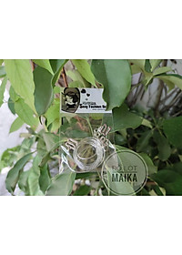 Dây áo ngực trong suốt sợi bún - sợi phở siêu bền